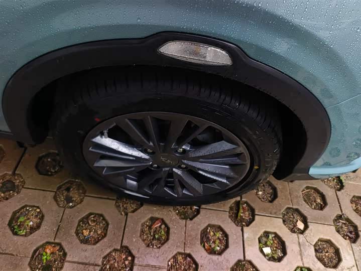 Фото 6 - Hozon V