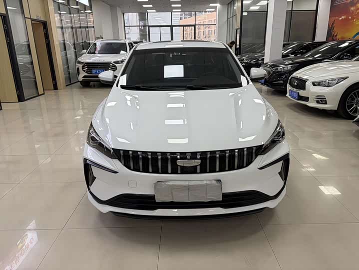 Фото 2 - Geely Binrui