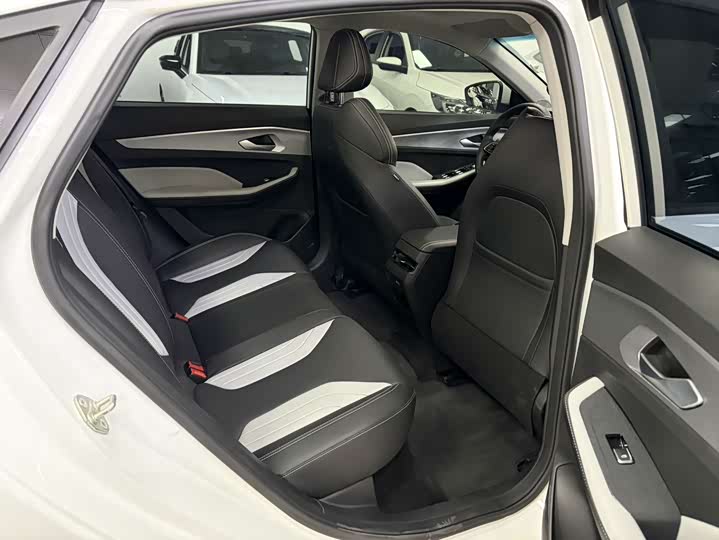 Фото 8 - Geely Binrui