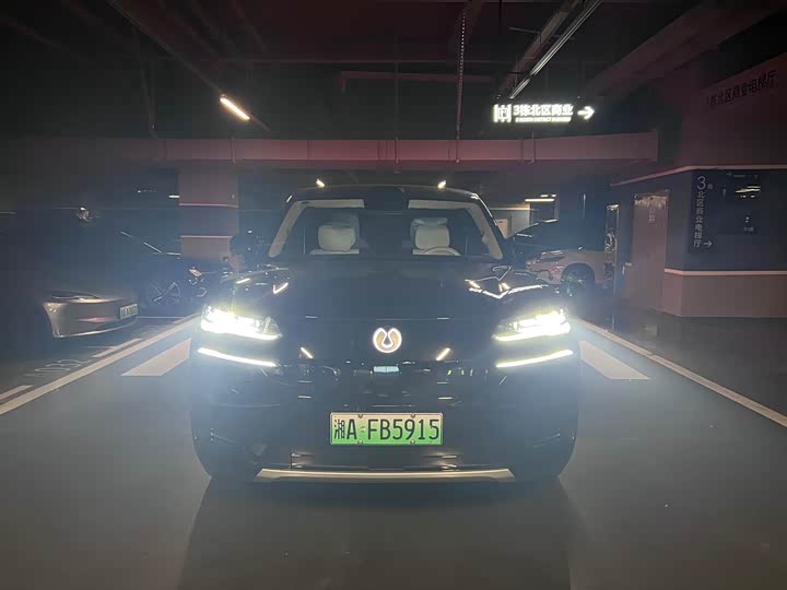 Фото 2 - Denza N9