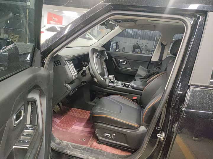 Фото 4 - Jetour Freedom