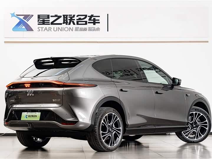 Фото 7 - IM motors LS7