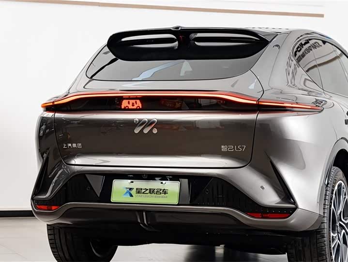 Фото 8 - IM motors LS7