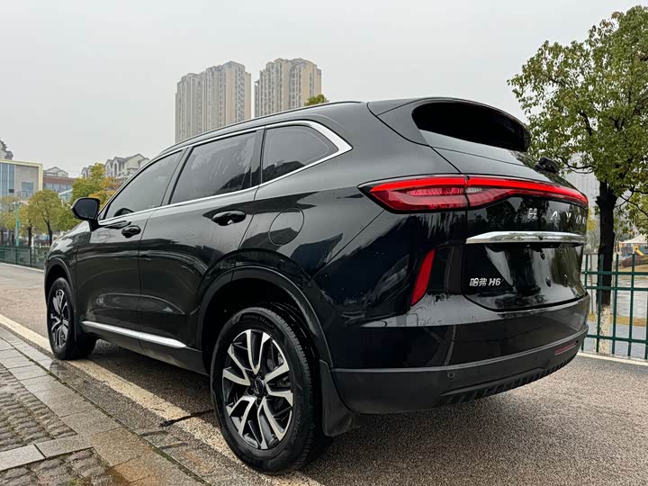 Фото 8 - Haval H6