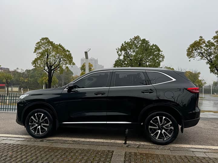 Фото 9 - Haval H6