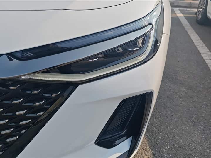 Фото 5 - Chery Fulwin A8