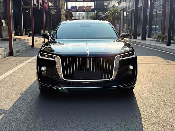 Фото 2 - Hongqi H9