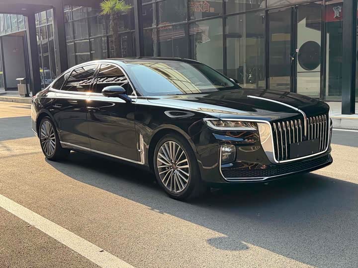 Фото 3 - Hongqi H9