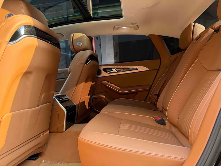 Фото 4 - Hongqi H9