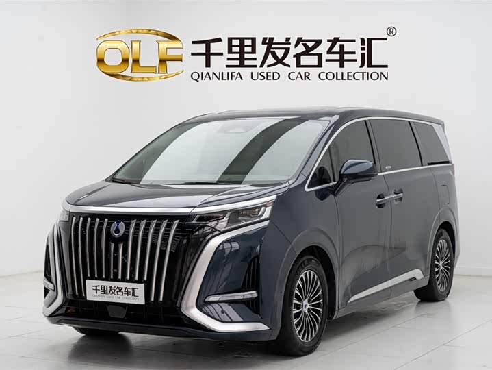 Фото 1 - Denza D9