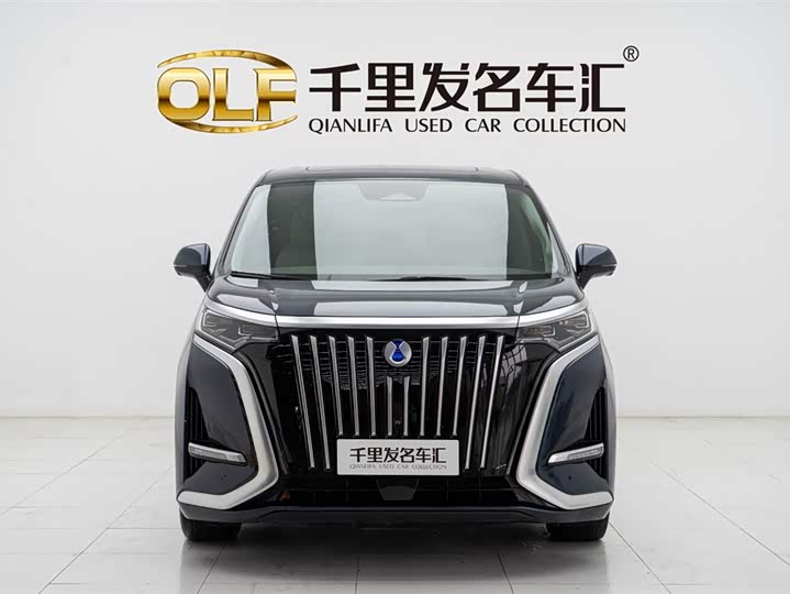 Фото 2 - Denza D9