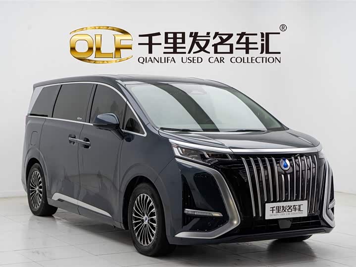 Фото 3 - Denza D9