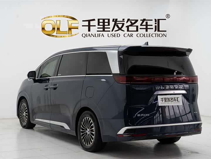 Фото 6 - Denza D9