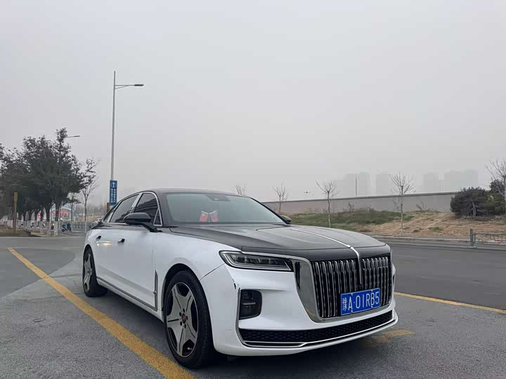 Фото 3 - Hongqi H9