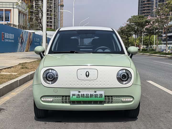 Photo 2 - Ora Black Cat