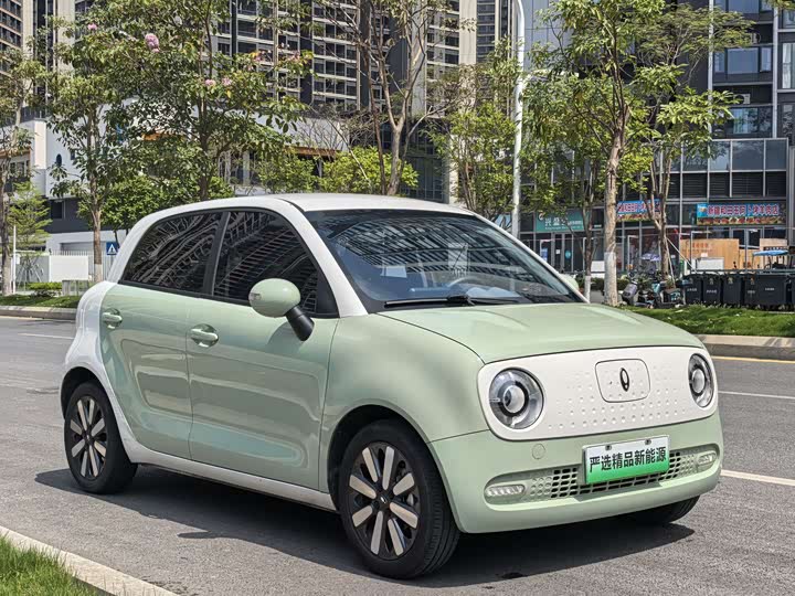 Photo 3 - Ora Black Cat