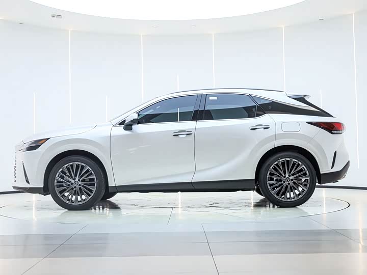 Фото 6 - Lexus RX