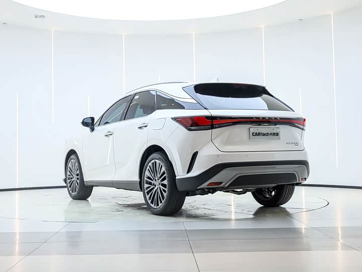 Фото 7 - Lexus RX