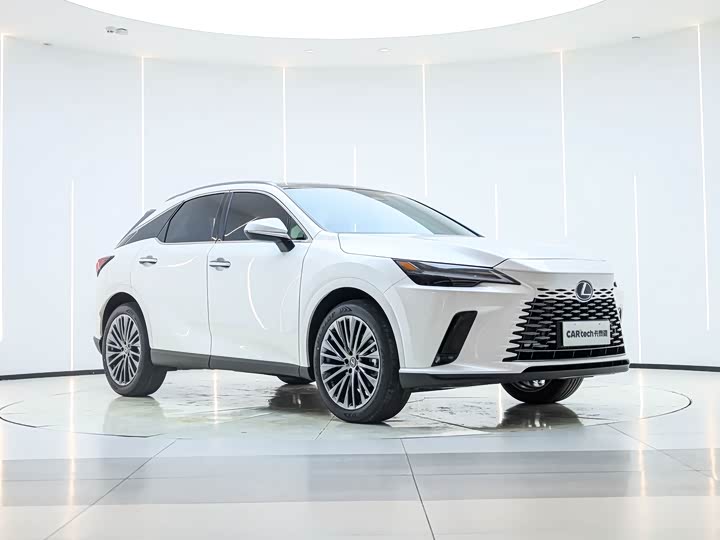 Фото 8 - Lexus RX