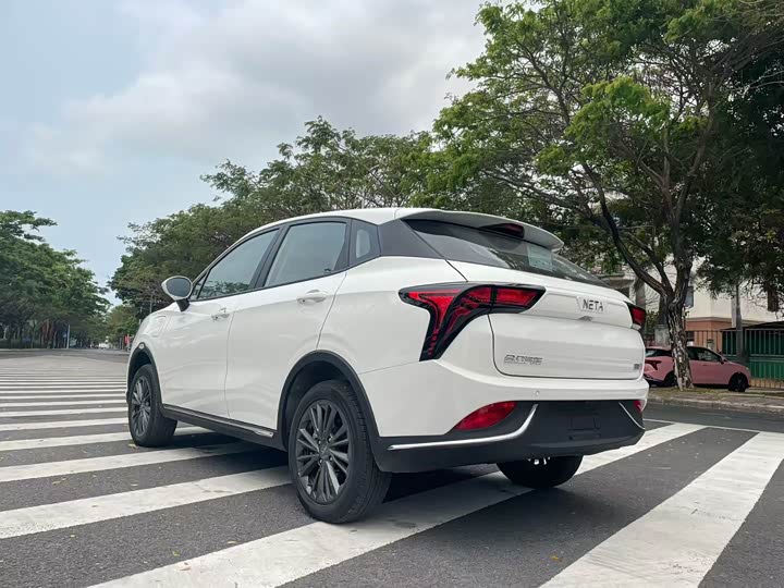 Фото 4 - Hozon V