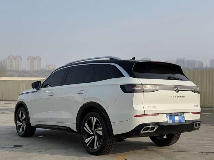 Фото 6 - Volkswagen Tavendor