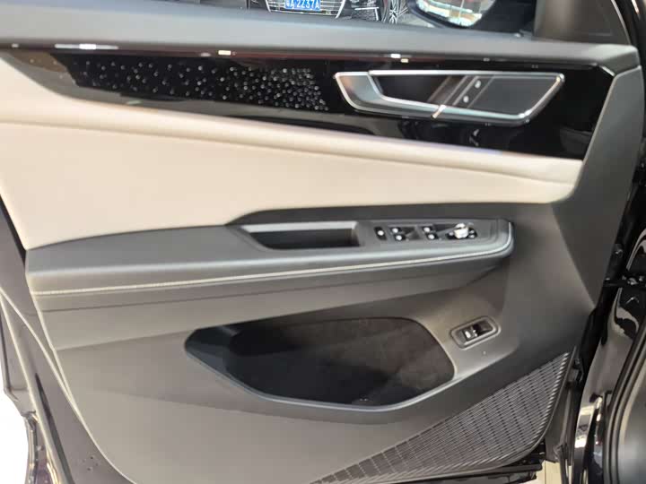 Photo 6 - Volkswagen Teramont Pro