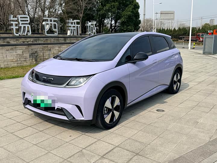 Фото 1 - BYD Dolphin