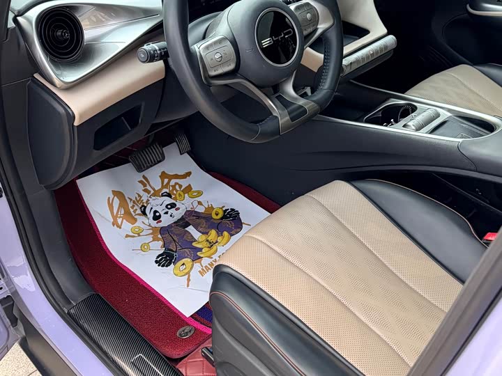 Фото 7 - BYD Dolphin