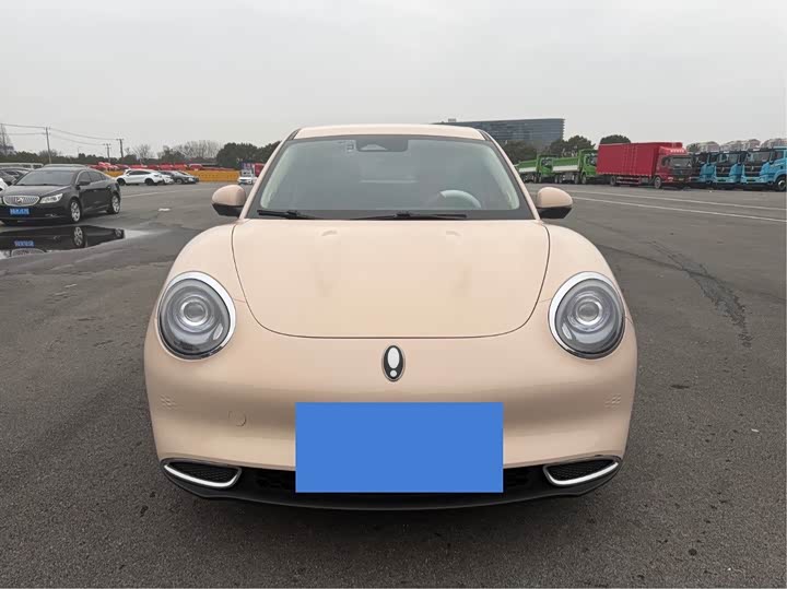 Photo 1 - Ora Good Cat (03)