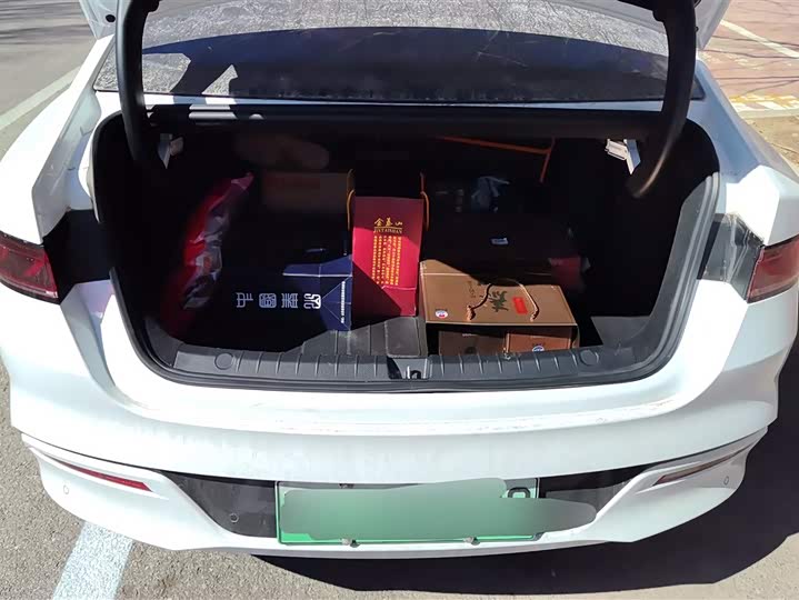 Фото 4 - BYD Qin Plus