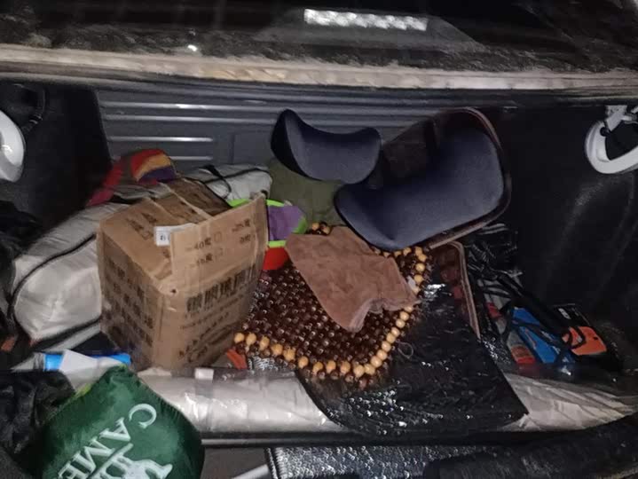 Фото 4 - Volkswagen Santana