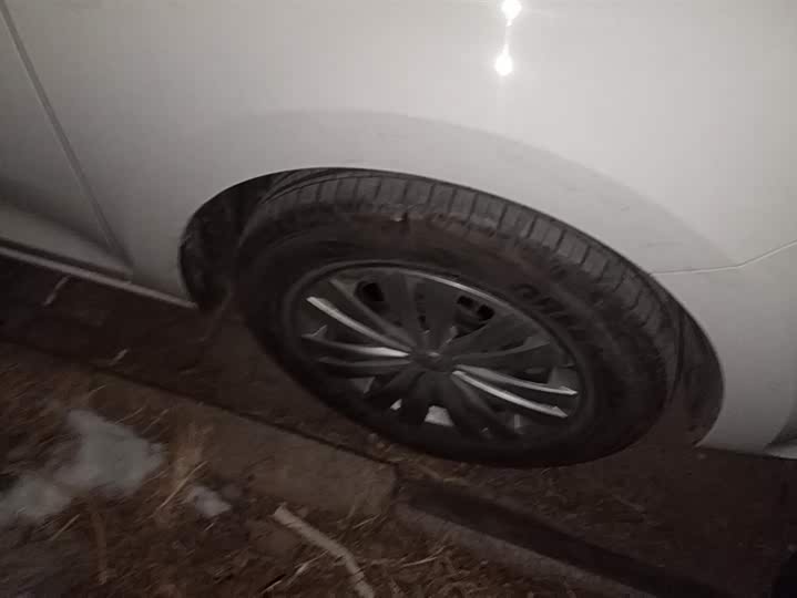 Фото 6 - Volkswagen Santana