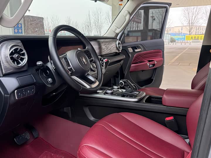 Фото 4 - Tank 300