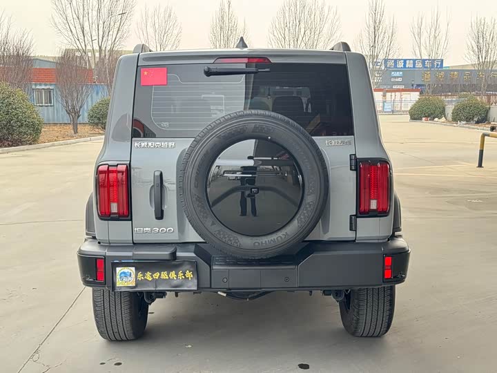 Фото 9 - Tank 300