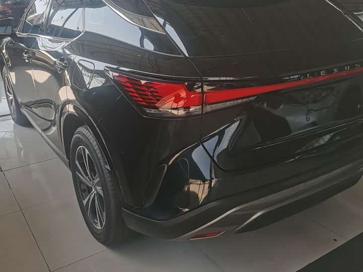 Фото 5 - Lexus RX