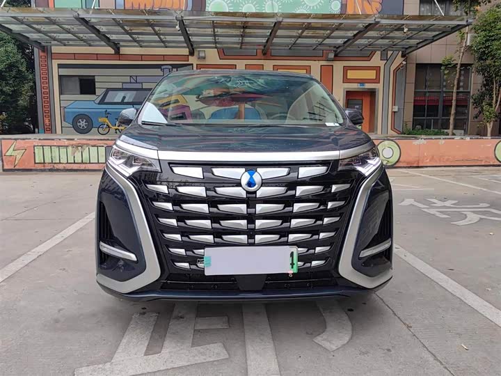 Фото 2 - Denza D9