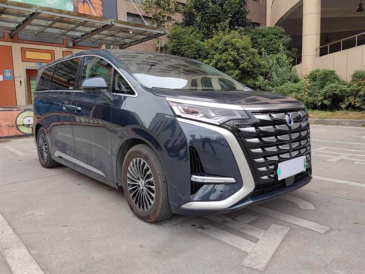 Фото 3 - Denza D9