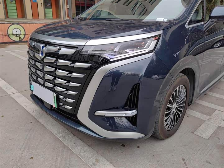 Фото 4 - Denza D9