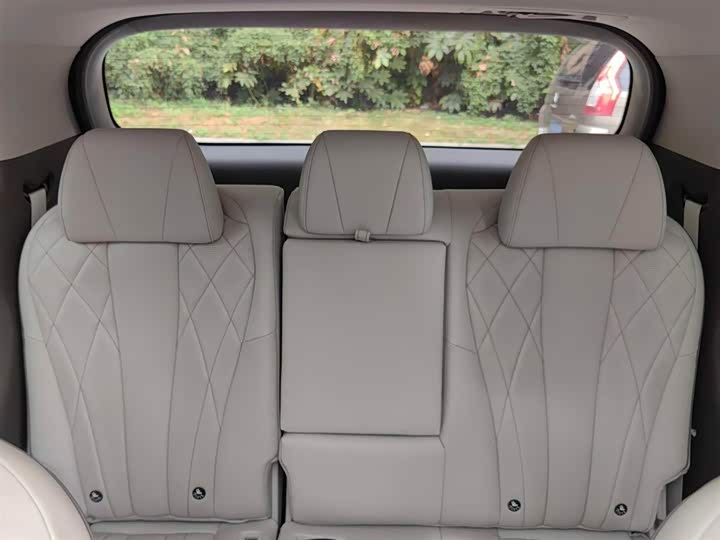 Фото 7 - Denza D9