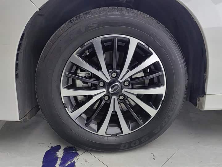 Фото 6 - GAC Trumpchi M8