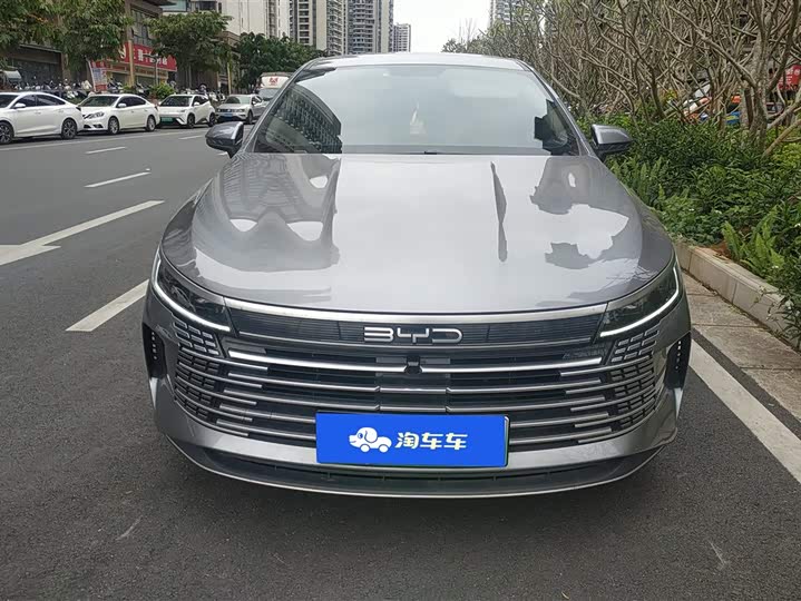 Photo 2 - BYD Destroyer 05