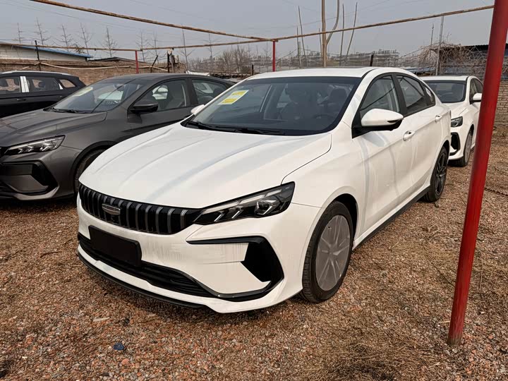 Фото 1 - Geely Binrui