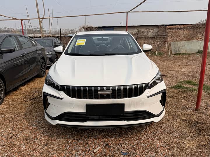 Фото 2 - Geely Binrui