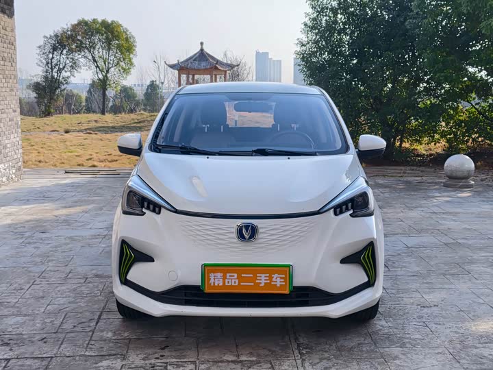 Фото 2 - Changan BenBen E-Star
