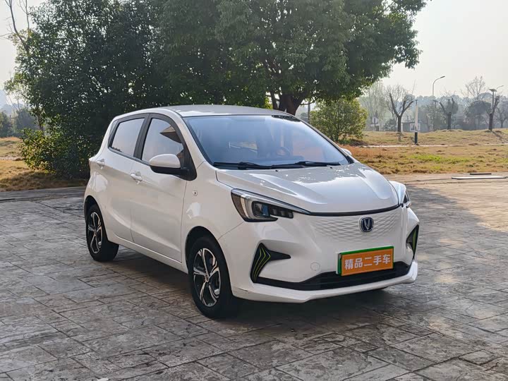 Фото 3 - Changan BenBen E-Star