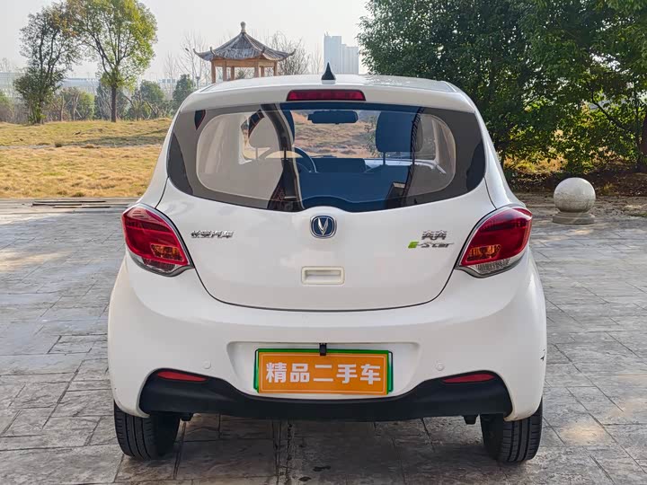 Фото 5 - Changan BenBen E-Star