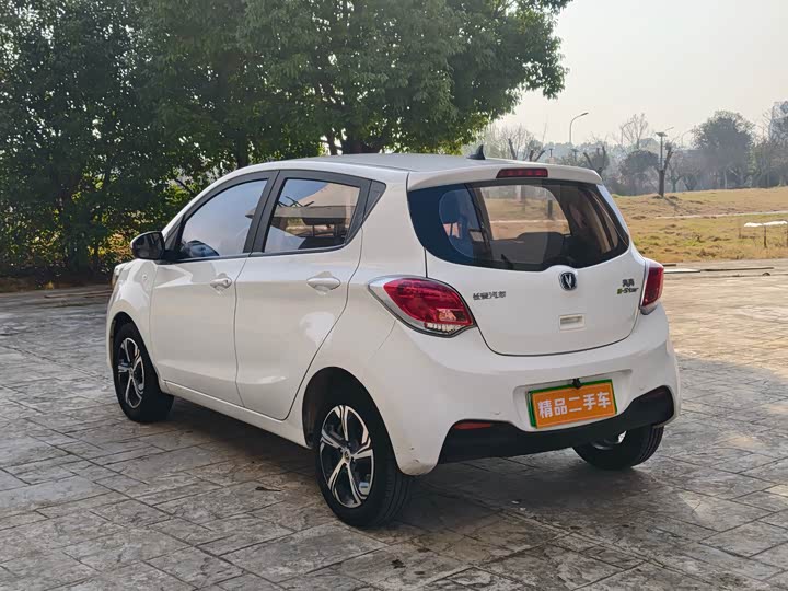 Фото 6 - Changan BenBen E-Star