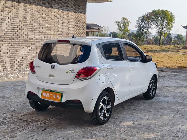 Фото 7 - Changan BenBen E-Star