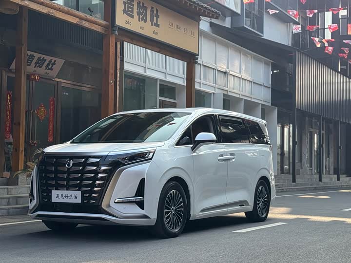 Фото 1 - Denza D9