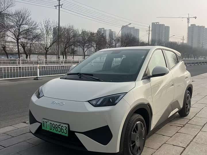 Фото 1 - BYD Seagull